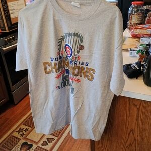 World Series Champions Gray T-Shirt